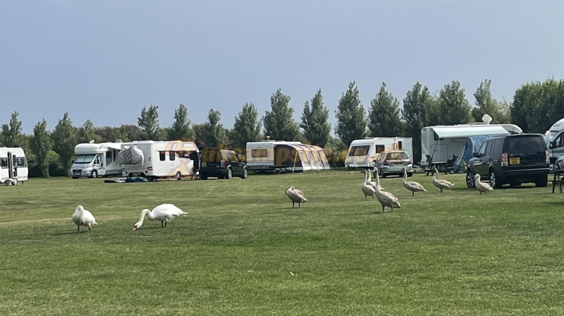 The Barn Caravan Park