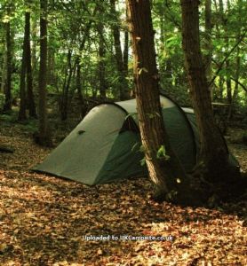 Ashwood Farm Woodland Camping