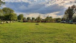 Karma Farm Eco Campsite