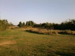 Mill Farm Leisure Camping And Caravanning Site
