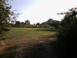 Mill Farm Leisure Camping And Caravanning Site