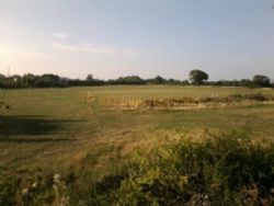 Mill Farm Leisure Camping And Caravanning Site