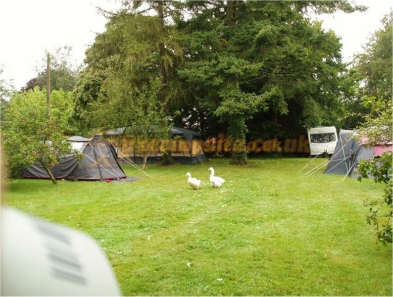 Lockwood House Holidays ( Adults Only )