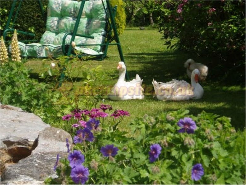 Lockwood House Holidays ( Adults Only )
