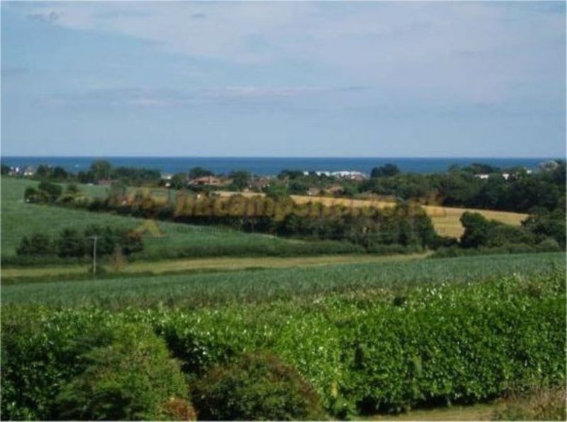 Lockwood House Holidays ( Adults Only )
