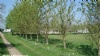 Bank Top Farm Caravan Site C L