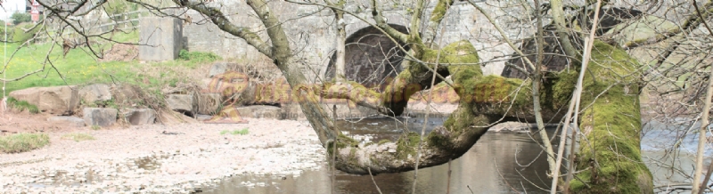 Aberbran Fawr Campsite