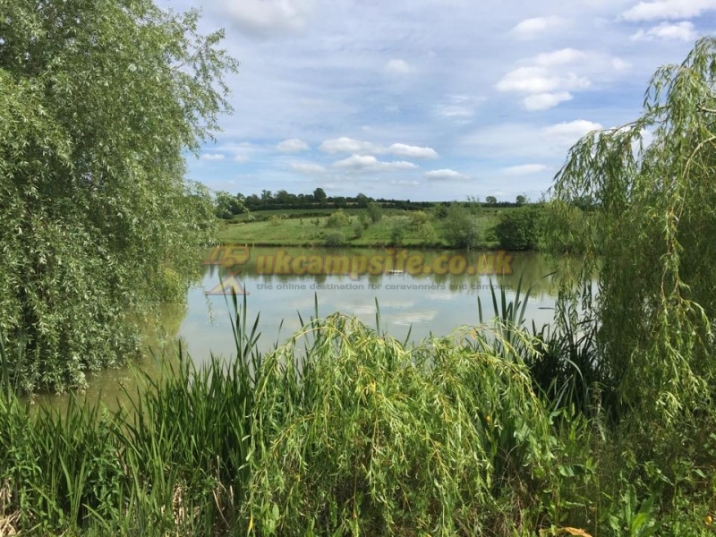 Dog Lane Fishery