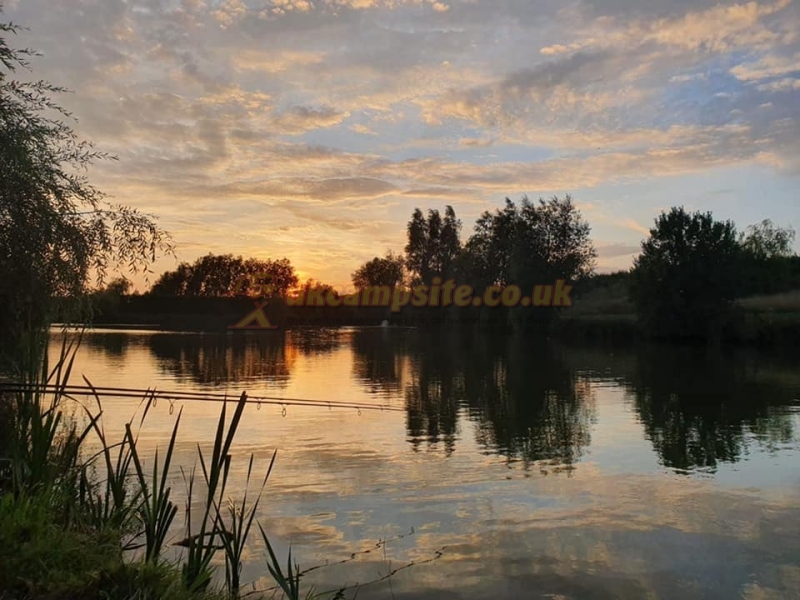 Dog Lane Fishery
