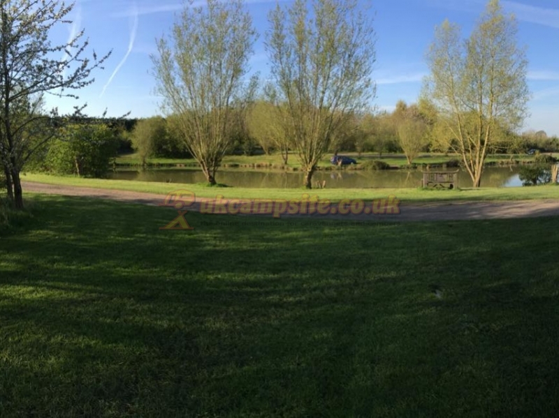 Dog Lane Fishery