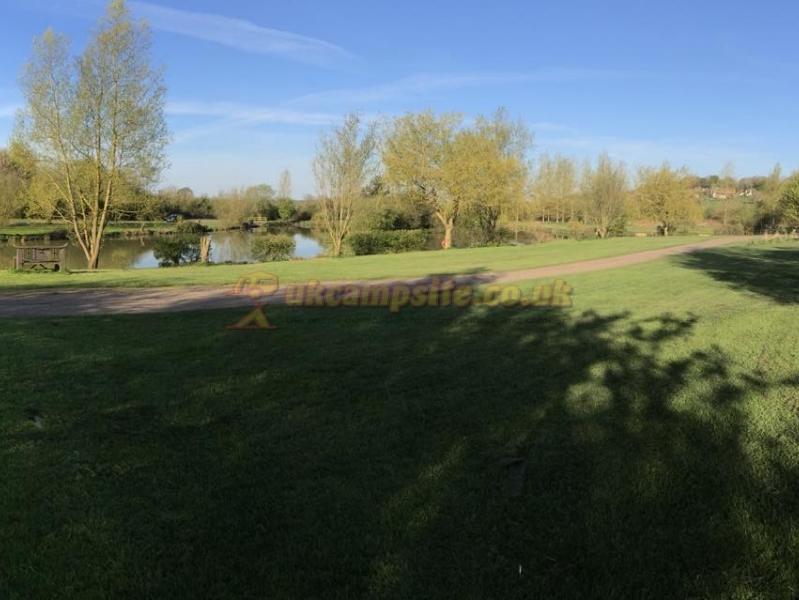 Dog Lane Fishery
