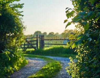 Walnut Tree Farm Camping