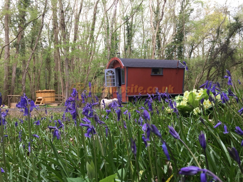 Dernwood Farm Wild Camping