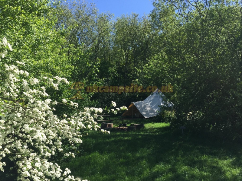 Dernwood Farm Wild Camping
