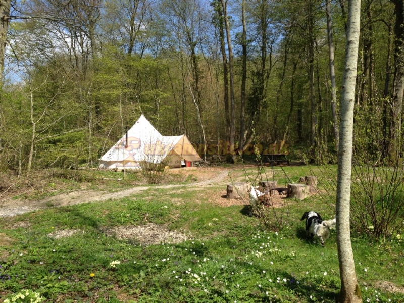 Dernwood Farm Wild Camping
