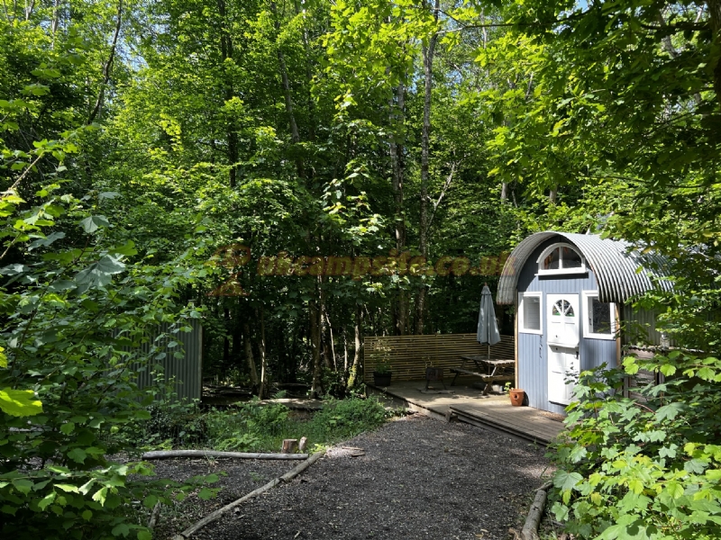 Dernwood Farm Wild Camping