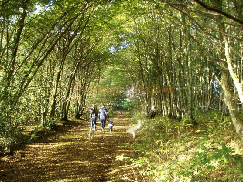 Dernwood Farm Wild Camping