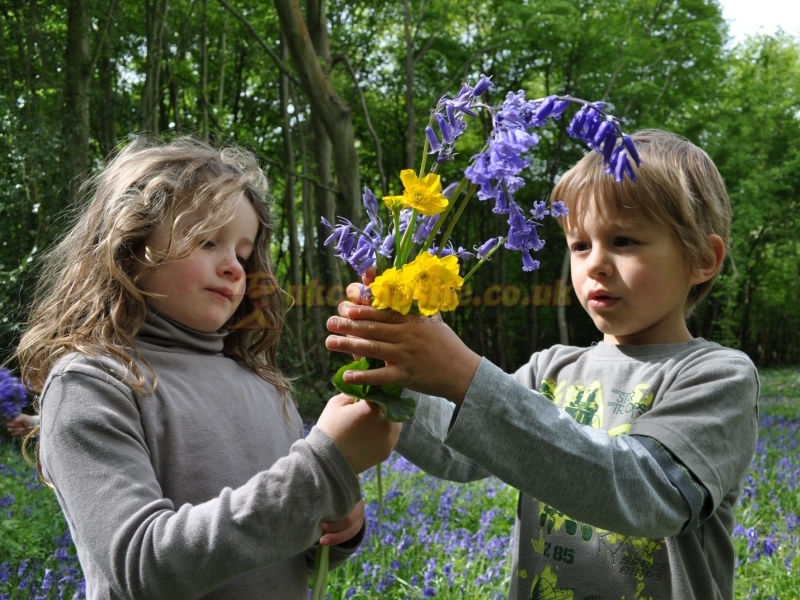 Dernwood Farm Wild Camping
