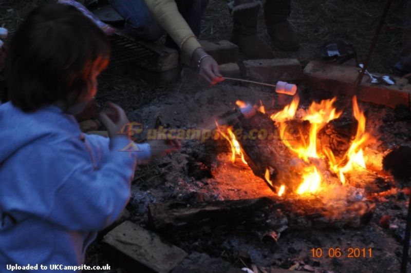 Dernwood Farm Wild Camping
