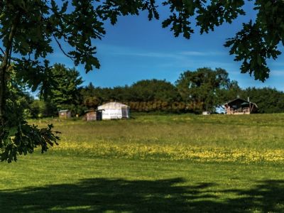 Cuckoo Down Farm Glamping
