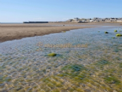Burghead Holiday Park (pholsuk)