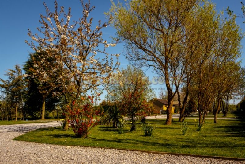 Long Acres Touring Park