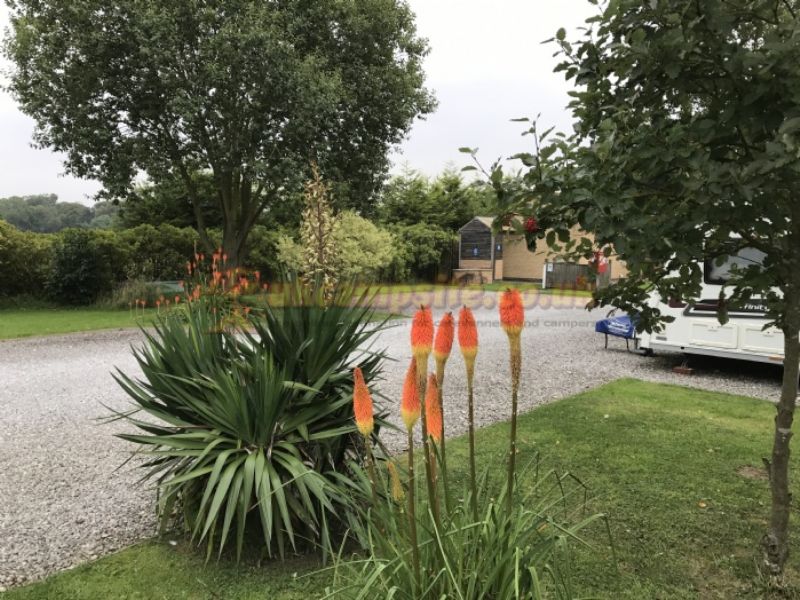 Long Acres Touring Park