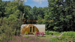 Camping Bois De Saint Hilaire