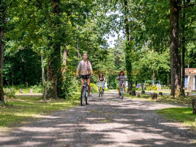 Camping Bois De Saint Hilaire