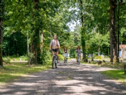 Camping Bois De Saint Hilaire