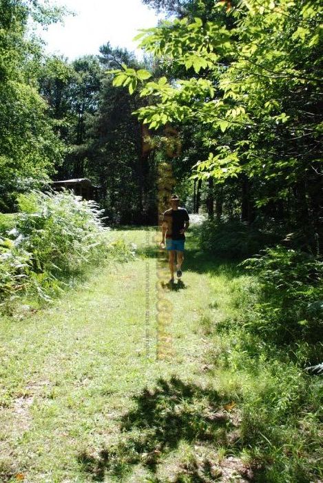 Camping Bois De Saint Hilaire