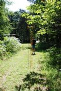 Camping Bois De Saint Hilaire