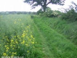 New House Farm Certificated Site