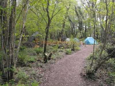 Hole Station Campsite