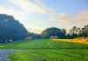 Moorhay Farm Caravan And Camping Park