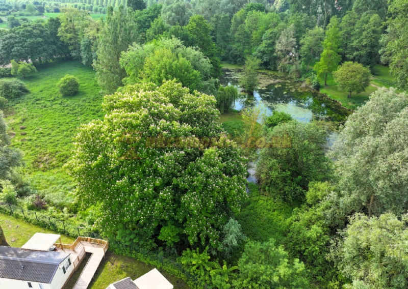 Camping Parc Des Cygnes