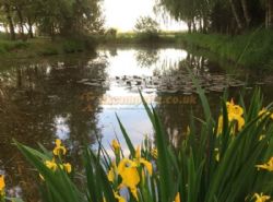 Windmill Farm Caravan Park