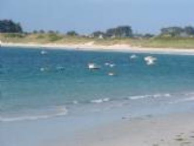 Camping Aux Quatre Saisons