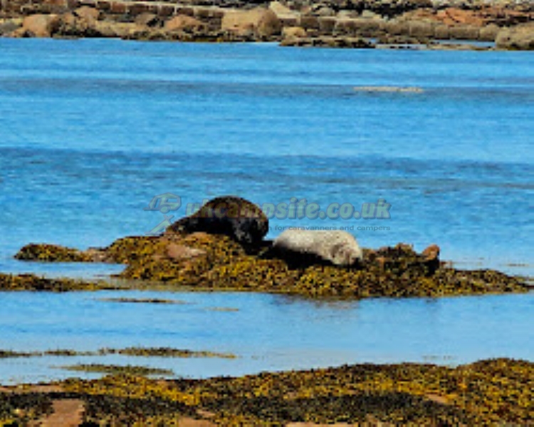 Gruinard Bay Caravan Park
