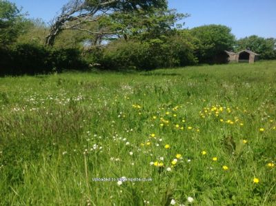 Greencliff Farm Campsite