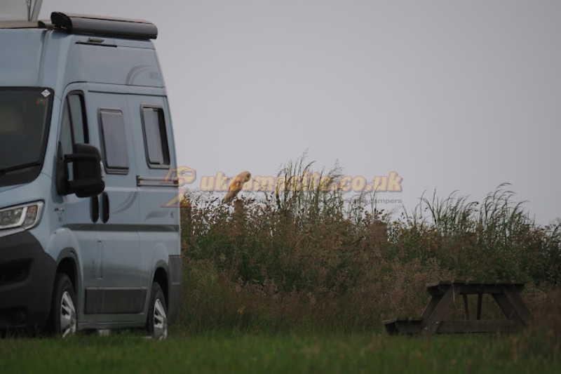 Wold Farm Caravan And Camping Site