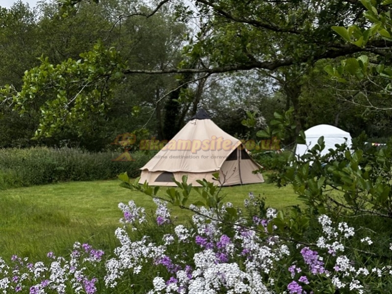 Three Rivers Camping