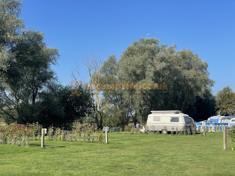 Three Rivers Camping