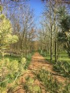 Dale Hey Farm Touring Caravan Site