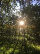 Dale Hey Farm Touring Caravan Site