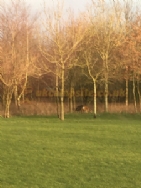 Dale Hey Farm Touring Caravan Site