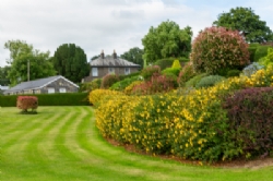 Bron Derw Touring Caravan Park