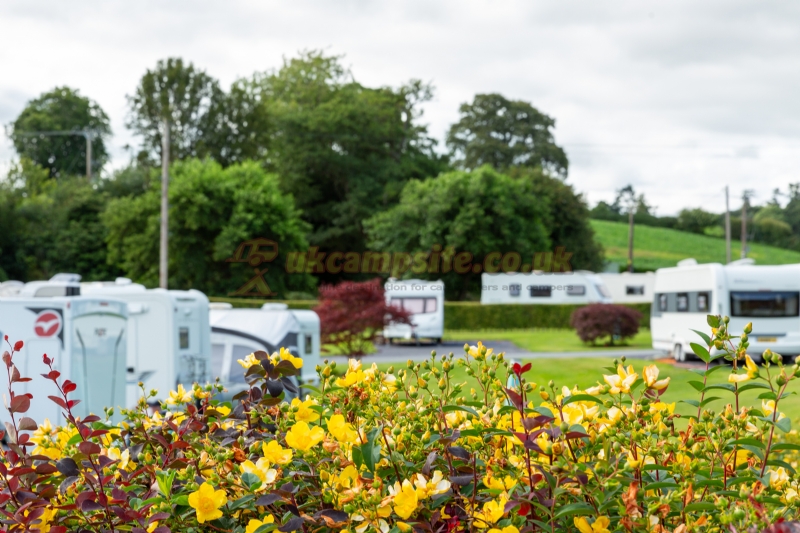 Bron Derw Touring Caravan Park