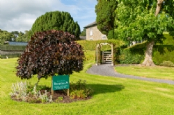 Bron Derw Touring Caravan Park