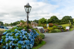 Bron Derw Touring Caravan Park